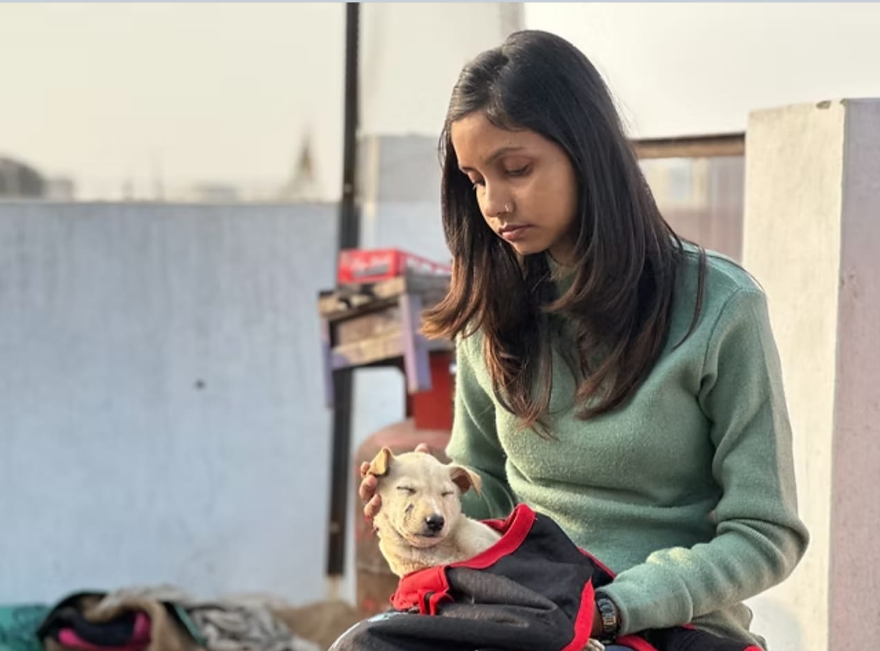 Furry Tales Trust volunteer gently caring for a rescued puppy